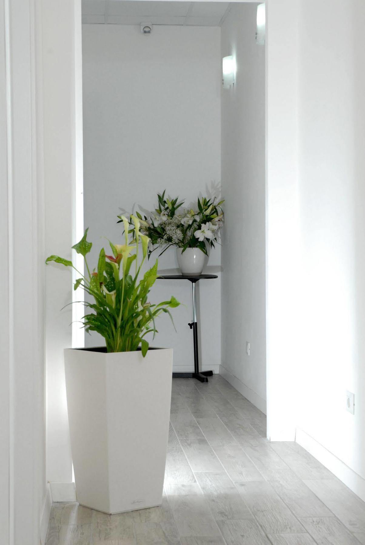 روما Gardenia Suite المظهر الخارجي الصورة